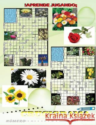 Crucigramas para Todos 3 Sosa, Pablo Fitzgerald 9781534638242