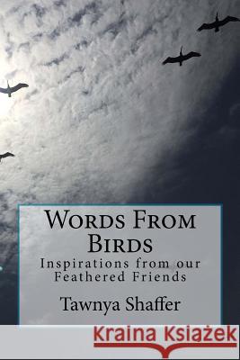 Words From Birds: Inspirations from our Feathered Friends Tawnya Shaffer 9781534694170