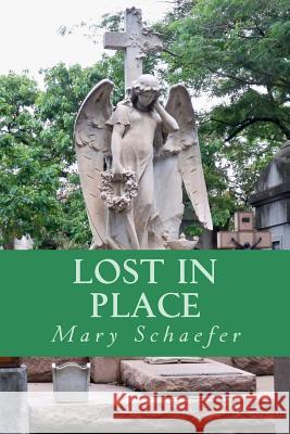 Lost in Place Mary a. Schaefer 9781534715349