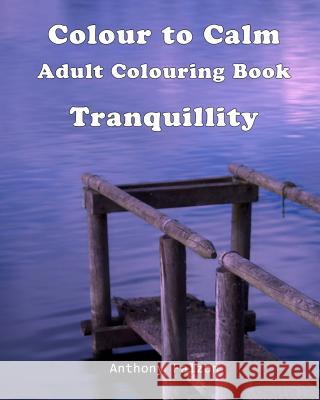 Colour to Calm Tranquillity: Therapeutic Adult Colouring Book Anthony Falzon 9781534728103