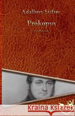 Prokopus - Großdruck Stifter, Adalbert 9781534738188