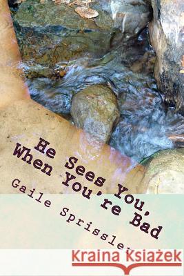He Sees You, When You're Bad Gaile Sprissler 9781534741706