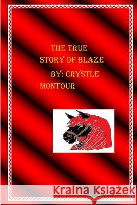 The true Story of Blaze: By: Crystle Jo Montour Montour, Crystle Jo 9781534834873 Createspace Independent Publishing Platform