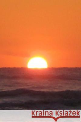 The Fleeting Vision: In the Two-Way Window of Time Gary L. Richie 9781534842083 Createspace Independent Publishing Platform