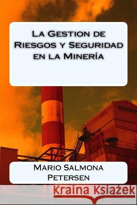 La Gestion de Riesgos y Seguridad en la Minería Petersen, Mario Salmona 9781534924321 Createspace Independent Publishing Platform