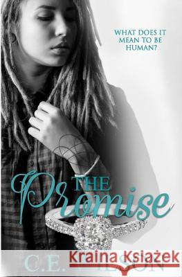 The Promise C. E. Wilson C. a. Borgford Desiree Deorto 9781534958128 Createspace Independent Publishing Platform