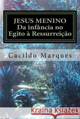 Jesus Menino: Da infância no Egito à Ressurreição Marques, Cacildo 9781534980884 Createspace Independent Publishing Platform