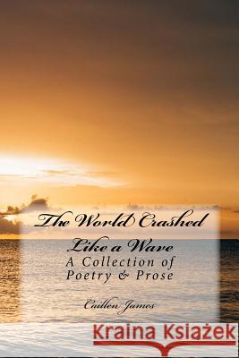 The World Crashed like a Wave: A Book of Poetry & Prose James, Caillen 9781535007672 Createspace Independent Publishing Platform