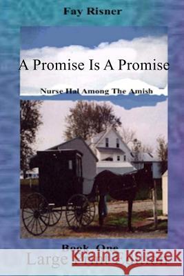 A Promise Is A Promise: Large Pring Risner, Fay 9781535099004 Createspace Independent Publishing Platform