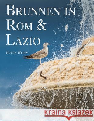 Brunnen in Rom & Lazio: 444 Bilder von 101 Brunnenanlagen in Rom & Latium Rybin, Erwin 9781535099288 Createspace Independent Publishing Platform