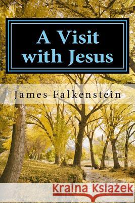 A Visit with Jesus: One Man's Journey James Falkenstein 9781535166164