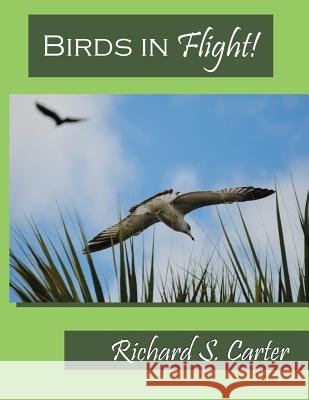 Birds in Flight! Richard S. Carter 9781535168526