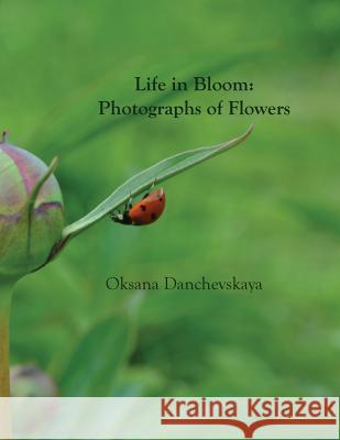 Life in Bloom: Photographs of Flowers Oksana Danchevskaya 9781535190435 Createspace Independent Publishing Platform