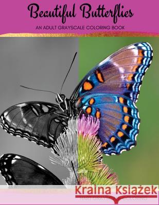 Beautiful Butterflies: An Adult Grayscale Coloring Book Hart House Creative                      Marie Mayden 9781535225557 Createspace Independent Publishing Platform