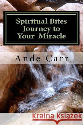 Spiritual Bites: Journey to Your Miracle Ande Carr 9781535243759