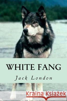 White Fang Jack London 9781535246965