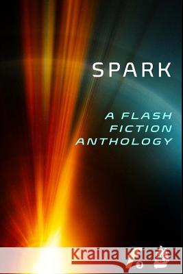 Spark: A Flash Fiction Anthology Evan Henry Joyce Juzwik Rose Green 9781535289658