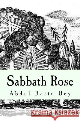 Sabbath Rose: Poems Of An Unusual Spirit Bey, Abdul Batin 9781535297332