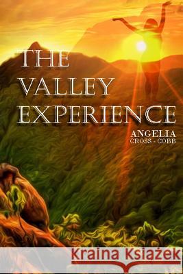 The Valley Experience Angelia Cross Cobb 9781535325653 Createspace Independent Publishing Platform