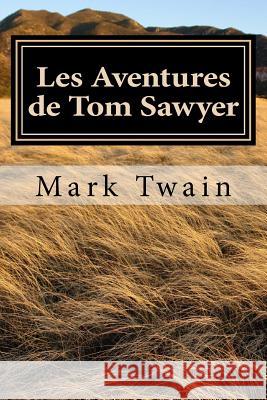 Les Aventures de Tom Sawyer: French Edition Mark Twain Angel Sanchez 9781535349055 Createspace Independent Publishing Platform