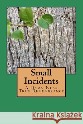 Small Incidents: A Damn Near True Remembrance Paul Curtis 9781535539999 Createspace Independent Publishing Platform