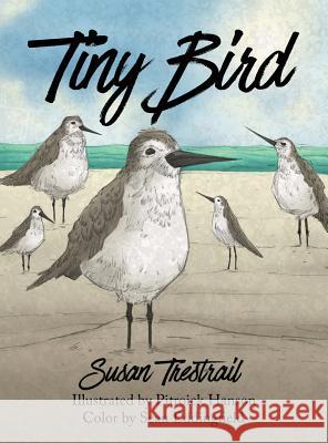 Tiny Bird Susan Trestrail Pitroick Hanson Sean Eddingfield 9781535605182 Wavecloud Corporation