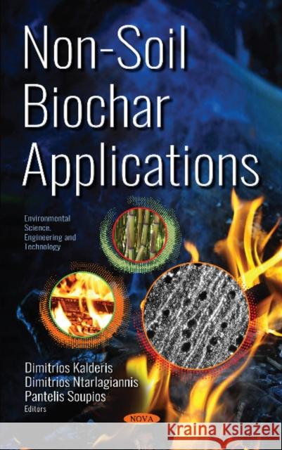 Non-Soil Biochar Applications Dimitrios Kalderis, Dimitrios Ntarlagiannis, Pantelis Soupios 9781536139372