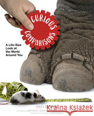 Curious Comparisons: A Life-Size Look at the World Around You Jorge Doneiger Guido Chouela David Sisso 9781536200218 Candlewick Press (MA)