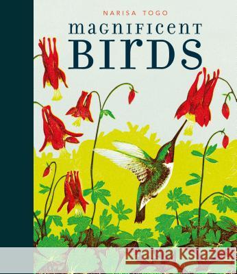 Magnificent Birds Candlewick Press                         Narisa Togo 9781536201697 Candlewick Studio