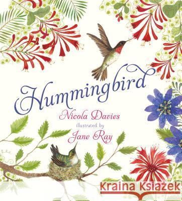 Hummingbird Nicola Davies Jane Ray 9781536205381