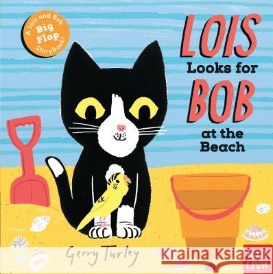 Lois Looks for Bob at the Beach Nosy Crow                                Gerry Turley 9781536205886 Nosy Crow