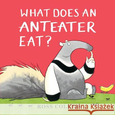 What Does an Anteater Eat? Ross Collins Ross Collins 9781536205916