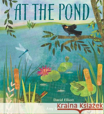 At the Pond David Elliott Amy Schimler-Safford 9781536205985 Candlewick Press (MA)