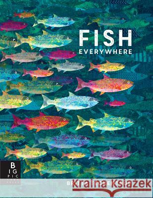 Fish Everywhere Britta Teckentrup Britta Teckentrup 9781536206258 Big Picture Press