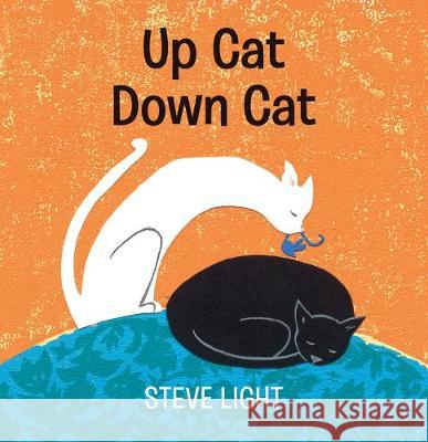 Up Cat Down Cat Steve Light Steve Light 9781536210316 Candlewick Press (MA)