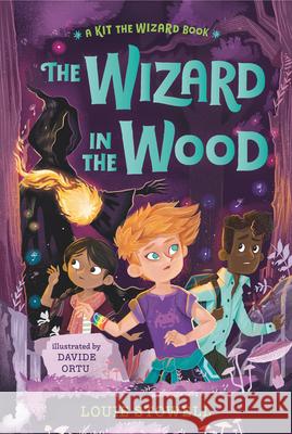 The Wizard in the Wood Louie Stowell Davide Ortu 9781536214956