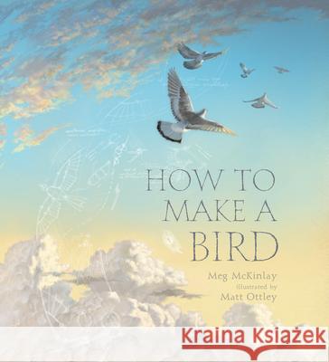 How to Make a Bird Meg McKinlay Matt Ottley 9781536215267