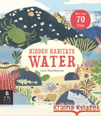 Hidden Habitats: Water Lily Murray Lara Hawthorne 9781536219944 Big Picture Press