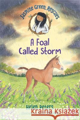 Jasmine Green Rescues: A Foal Called Storm Helen Peters Ellie Snowdon 9781536222715 Walker Books Us