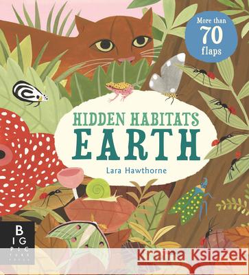 Hidden Habitats: Earth Camilla d Lara Hawthorne 9781536226690