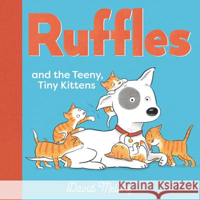 Ruffles and the Teeny, Tiny Kittens David Melling David Melling 9781536227468 Nosy Crow