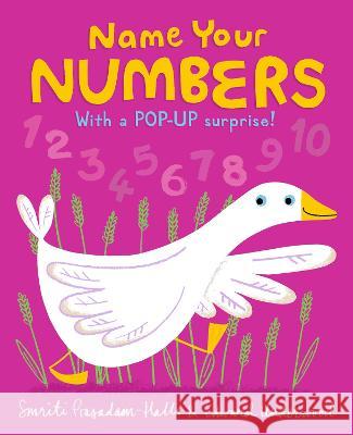 Name Your Numbers Smriti Prasadam-Halls Edward Underwood 9781536228458 Candlewick Press (MA)