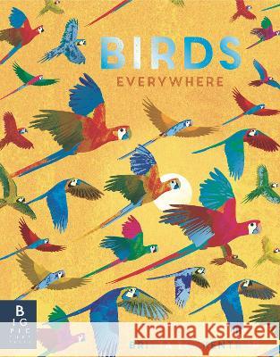 Birds Everywhere Camilla d Britta Teckentrup 9781536229738 Big Picture Press