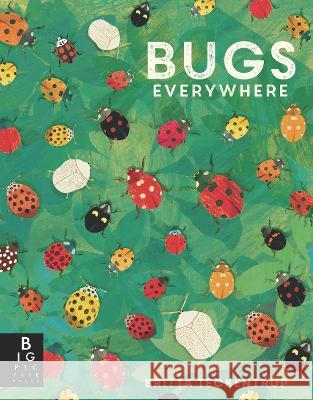 Bugs Everywhere Lily Murray Britta Teckentrup 9781536235029 Big Picture Press