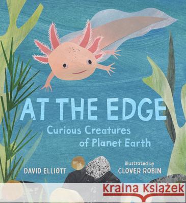 At the Edge: Curious Creatures of Planet Earth David Elliott Clover Robin 9781536235258 Candlewick Press (MA)
