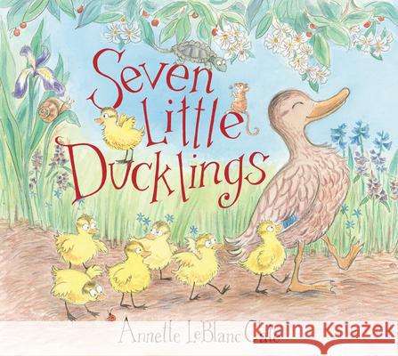 Seven Little Ducklings Annette LeBlanc Cate Annette LeBlanc Cate 9781536235746 Candlewick Press (MA)