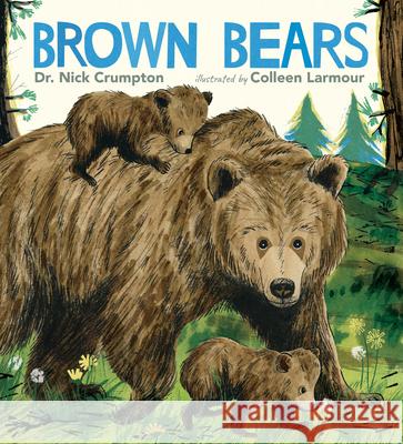 Brown Bears Nick Crumpton Colleen Larmour 9781536238778 Candlewick Press (MA)