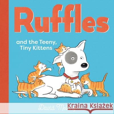 Ruffles and the Teeny, Tiny Kittens David Melling David Melling 9781536241396 Candlewick Press (MA)