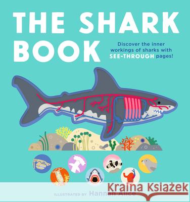 The Shark Book Emma Young Hannah Alice 9781536251425 Candlewick Press (MA)