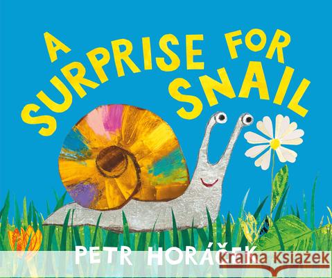 A Surprise for Snail Petr Hor?cek Petr Hor?cek 9781536251838 Candlewick Press (MA)
